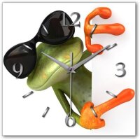 Frosch Designer-Wanduhr mit leisem Funkuhrwerk aus Alu